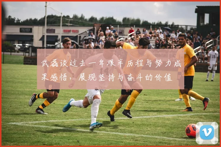 武磊谈过去一年艰辛历程与努力成果感悟，展现坚持与奋斗的价值